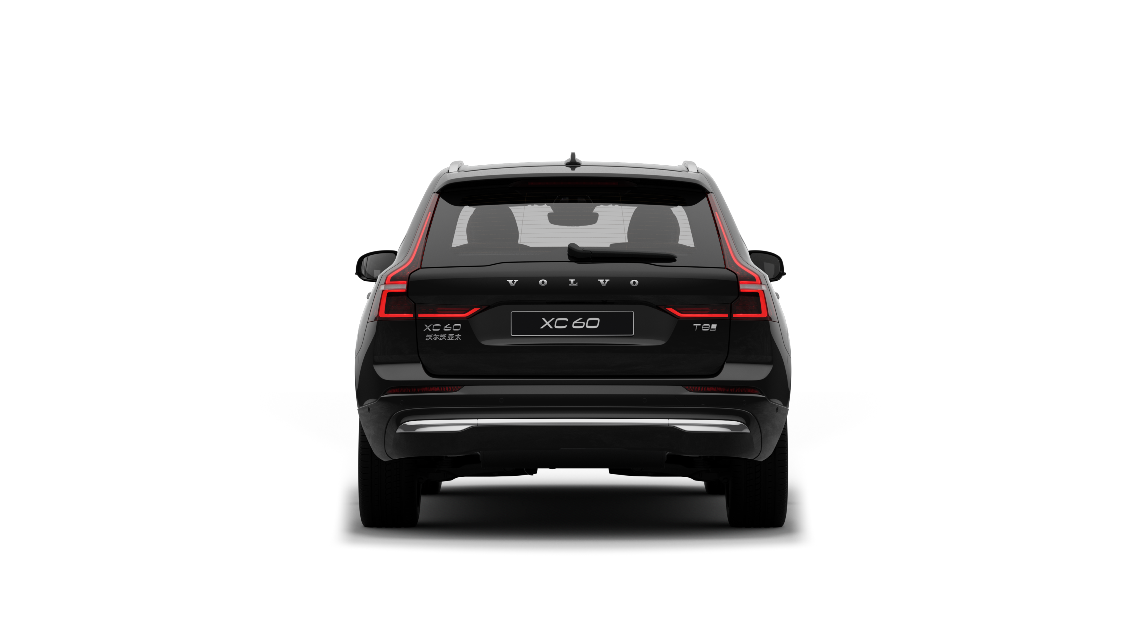 沃尔沃汽车后视图在朴素的工作室背景下。