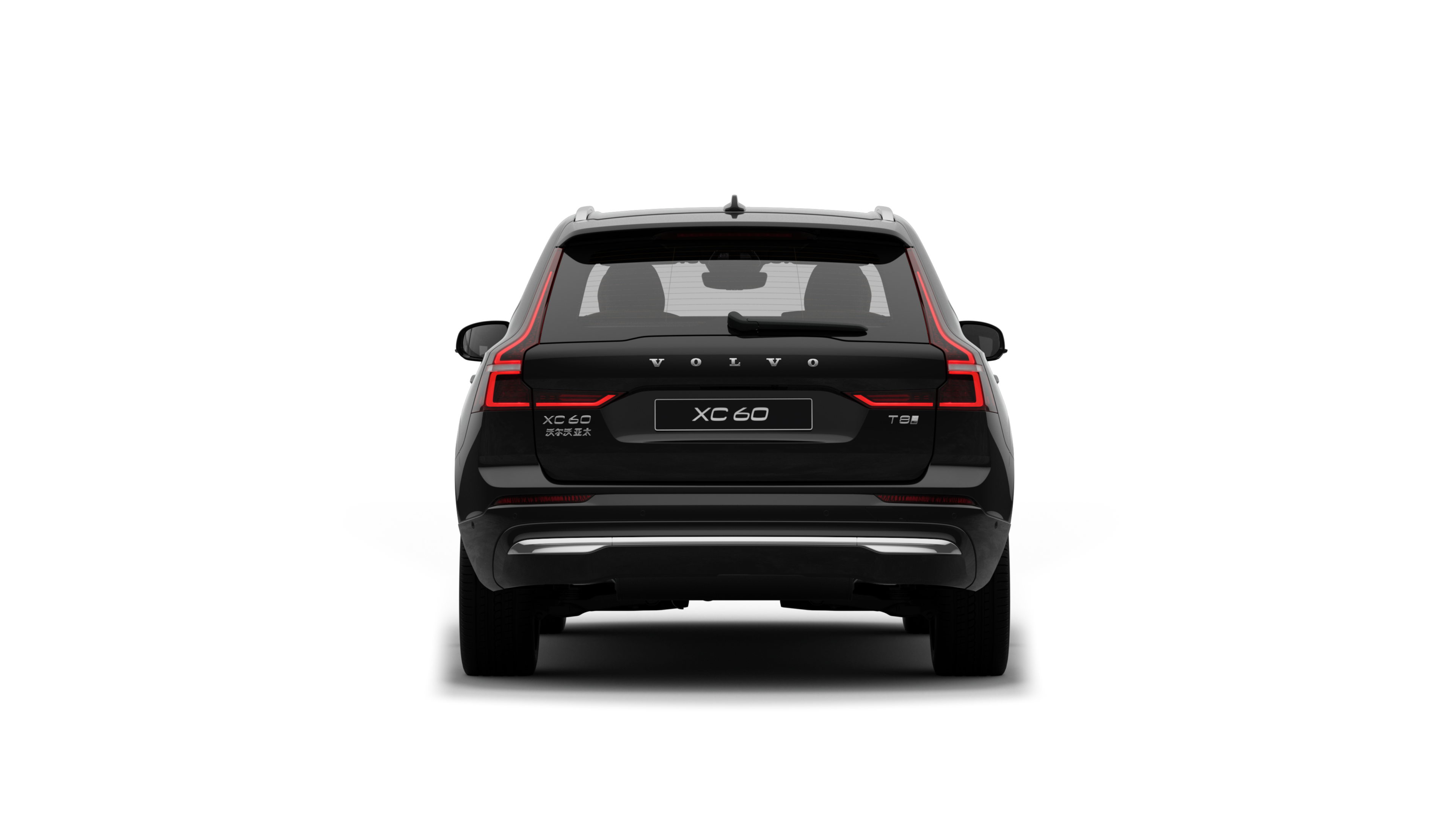 沃尔沃汽车后视图在朴素的工作室背景下。